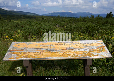 Ausblick auf Pancavska Wiese, Pancavska Louka, Zlate Navrsi, Riesengebirge, Nationalpark Riesengebirge, Tschechische Republik Stockfoto