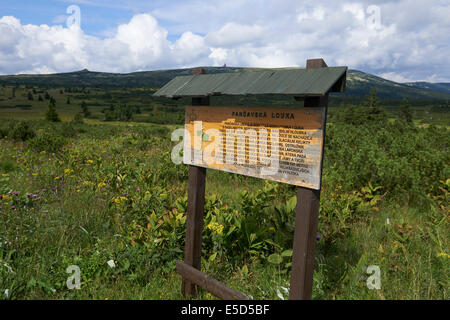 Ausblick auf Pancavska Wiese, Pancavska Louka, Zlate Navrsi, Riesengebirge, Nationalpark Riesengebirge, Tschechische Republik Stockfoto