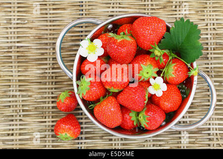 Frische Erdbeeren in Sieb auf Wicker Oberfläche Stockfoto