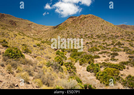 Nationalpark Cabo de Gata, Andalusien, Spanien Stockfoto