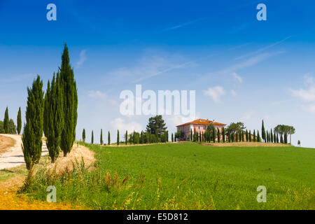 Landhaus mit Zypressen auf einem Hügel in der Nähe von Siena in der Toskana, Italien Stockfoto