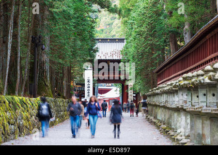 Asien, Japan, Honshu, Präfektur Tochigi, Nikko Schrein; Laternen, UNESCO-Weltkulturerbe Stockfoto