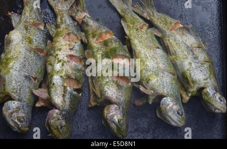 Frische Bachforelle auf dem Grill in der peruanischen Dorf von Ingenio, in der Nähe von Huancayo in den peruanischen Anden Stockfoto