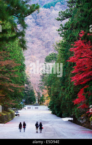 Asien, Japan, Honshu, Präfektur Tochigi, Nikko Schrein; UNESCO-Weltkulturerbe, Herbstfärbung Stockfoto