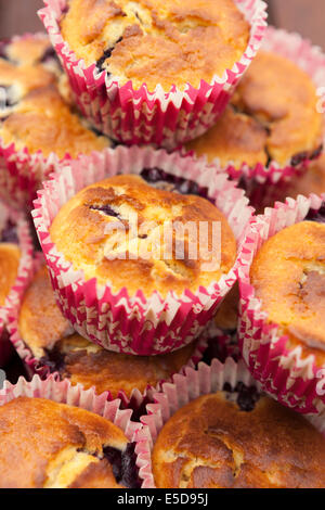 Blaubeer-muffins Stockfoto