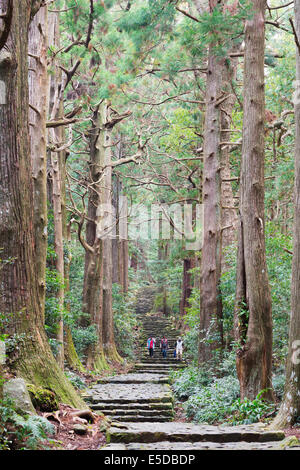 Asien; Japan; Honshu; Präfektur Wakayama; Pilger auf Daimon-Zaka Nachi Tokaido Pilgerweg; Der UNESCO Stockfoto