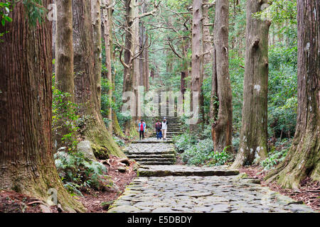 Asien; Japan; Honshu; Präfektur Wakayama; Pilger auf Daimon-Zaka Nachi Tokaido Pilgerweg; Der UNESCO Stockfoto