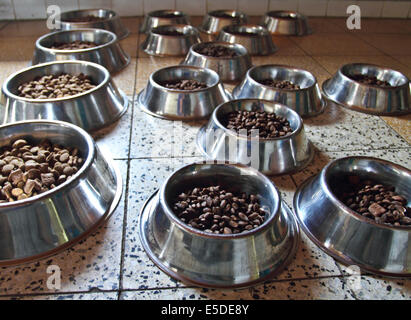 Schalen mit Trockenfutter für Hunde Stockfoto