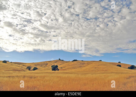 Blick auf Wolken und goldenen Berge von Kalifornien Stockfoto