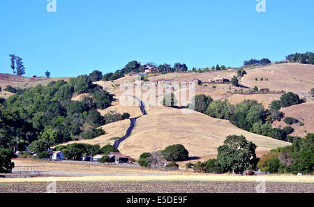 Blick auf Ranch und Häuser auf Hügeln von Petaluma Sonoma County, California Stockfoto