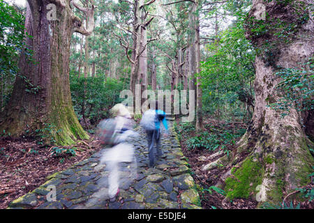 Asien; Japan; Honshu; Präfektur Wakayama; Pilger auf Daimon-Zaka Nachi Tokaido Pilgerweg; Der UNESCO Stockfoto