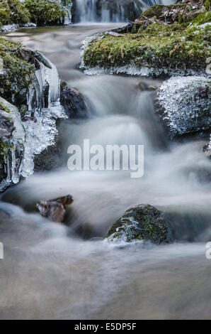 Kleiner Bach mit Wasserfall hautnah Stockfoto