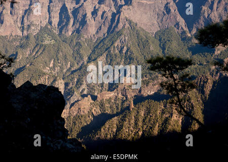 Blick von La Cumbrecita, über die Andscape im Inneren des Kraters, Caldera de Taburiente National Park, La Palma, Kanarische Inseln, S Stockfoto