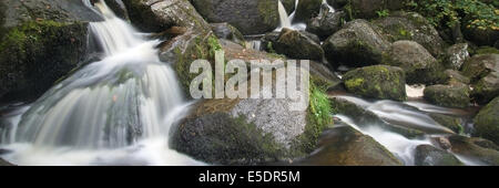 Panorama-Querformat der Wasserfall im Wald Stockfoto