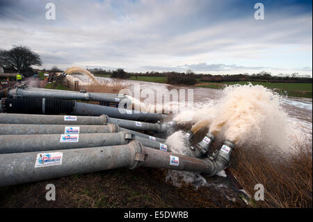 Hochwasser ist aus der Somerset Levels in den Fluß Parrett in der Nähe von Moorlandschaften gepumpt. Stockfoto