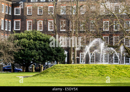 Brunnen in den Gärten der neue Platz im Gasthaus Lincolns. Stockfoto