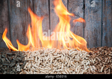 Drei Arten von Pellets in Flammen Stockfoto