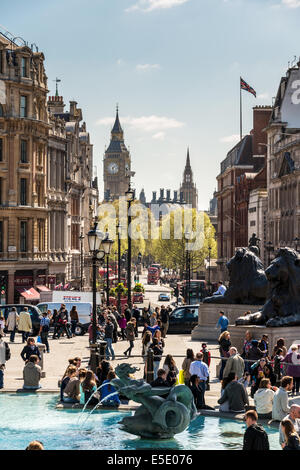 Trafalgar Square ist eine öffentliche und touristische Attraktion im Zentrum von London. Im Stadtteil City of Westminster Stockfoto