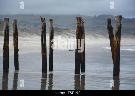 Alten Pier von St Clair Beach an einem stürmischen Tag, Dunedin, Neuseeland Stockfoto