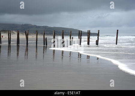 Alten Pier von St Clair Beach an einem stürmischen Tag, Dunedin, Neuseeland Stockfoto