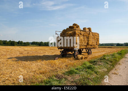 Strohballen Strohwagen Ernte Ernten Stroh Ballen Wagen Trecker Traktor Landmaschine traktorunabhängigen Transport Straße Feld Weizen Stockfoto