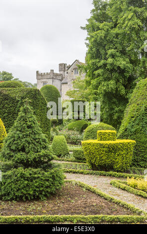 Außergewöhnliche Formschnitt-Hecken im Garten von Levens Hall, in der Nähe von Kendal, Cumbria Stockfoto