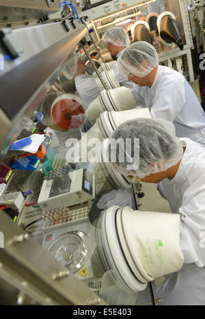 Darmstadt, Deutschland. 25. Juni 2014. Die Fotos von pharmazeutisch-chemische Unternehmen Merck KGaA veröffentlicht zeigt Mitarbeiter organischen Schichten aus einer Lösung (in das Handschuhfach durch Spincoating) bei Merck OLED-Produktion in Darmstadt, Deutschland, 25. Juni 2014. Foto: ARNE DEDERT/Dpa/Alamy Live-Nachrichten Stockfoto