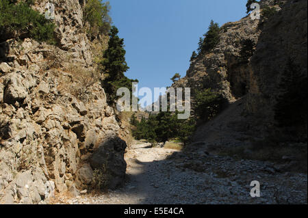 Blick in die Imbros-Schlucht, Crete Stockfoto