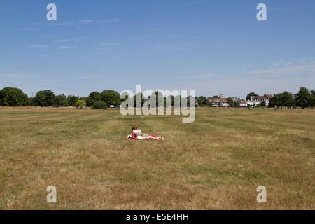 Wimbledon, London, UK. 29. Juli 2014. Eine Frau liest auf dem trockenen Rasen von Wimbledon common an einem heißen Tag Credit: Amer Ghazzal/Alamy Live-Nachrichten Stockfoto