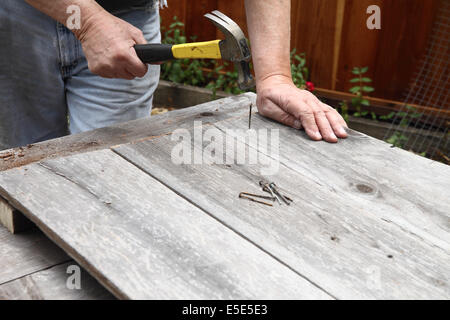 Ein Mann wiederverwendet alten Nägel um verwitterten Brettern zusammenschlagen. Stockfoto