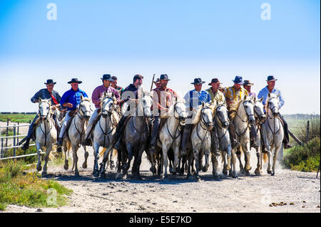 Europa, Frankreich, Bouches-du-Rhône, regionalen natürlichen Parks der Camargue, Saintes-Maries-de-la-mi. Abrivado. Stockfoto