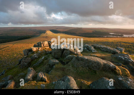 Goldenes Sonnenlicht Hervorhebung Leder Tor Dartmoor Nationalpark Devon Uk Stockfoto