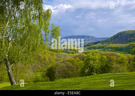 Inselsberg, Thüringen, Deutschland Stockfoto