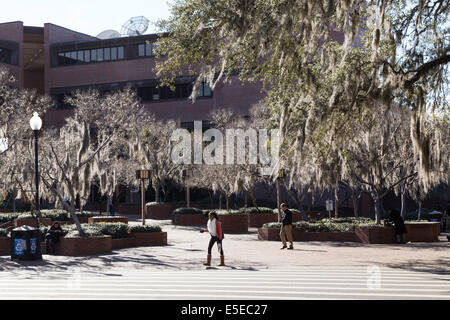 Spanisch Moos auf Bäumen und Klassenzimmer Gebäuden, University of Florida, Gainesville, FL, USA Stockfoto