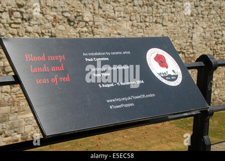 London, UK. 29. Juli 2014.   The Tower of London von einem Kunst-Instillation begonnen, Blut gefegt Länder und Meere rot, in den Gräben rund um den Turm. 800 000 Keramik Mohnblumen Künstlers Paul Cummins installiert werden, fließt aus dem Fenster und über den Graben zum Gedenken an den Ausbruch des ersten Weltkrieges und den Tod von 800 000 alliierte Soldaten. Die Installation wird vom Tag des Waffenstillstands bereit sein und die Mohnblumen um Geld für wohltätige Zwecke verkauft werden. Bildnachweis: JOHNNY ARMSTEAD/Alamy Live-Nachrichten Stockfoto