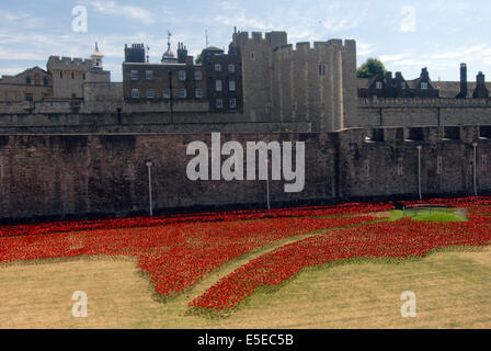 London, UK. 29. Juli 2014.   The Tower of London von einem Kunst-Instillation begonnen, Blut gefegt Länder und Meere rot, in den Gräben rund um den Turm. 800 000 Keramik Mohnblumen Künstlers Paul Cummins installiert werden, fließt aus dem Fenster und über den Graben zum Gedenken an den Ausbruch des ersten Weltkrieges und den Tod von 800 000 alliierte Soldaten. Die Installation wird vom Tag des Waffenstillstands bereit sein und die Mohnblumen um Geld für wohltätige Zwecke verkauft werden. Bildnachweis: JOHNNY ARMSTEAD/Alamy Live-Nachrichten Stockfoto