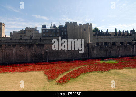 London, UK. 29. Juli 2014.   The Tower of London von einem Kunst-Instillation begonnen, Blut gefegt Länder und Meere rot, in den Gräben rund um den Turm. 800 000 Keramik Mohnblumen Künstlers Paul Cummins installiert werden, fließt aus dem Fenster und über den Graben zum Gedenken an den Ausbruch des ersten Weltkrieges und den Tod von 800 000 alliierte Soldaten. Die Installation wird vom Tag des Waffenstillstands bereit sein und die Mohnblumen um Geld für wohltätige Zwecke verkauft werden. Bildnachweis: JOHNNY ARMSTEAD/Alamy Live-Nachrichten Stockfoto