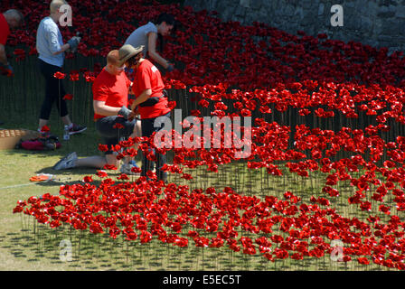 London, UK. 29. Juli 2014.   The Tower of London von einem Kunst-Instillation begonnen, Blut gefegt Länder und Meere rot, in den Gräben rund um den Turm. 800 000 Keramik Mohnblumen Künstlers Paul Cummins installiert werden, fließt aus dem Fenster und über den Graben zum Gedenken an den Ausbruch des ersten Weltkrieges und den Tod von 800 000 alliierte Soldaten. Die Installation wird vom Tag des Waffenstillstands bereit sein und die Mohnblumen um Geld für wohltätige Zwecke verkauft werden. Bildnachweis: JOHNNY ARMSTEAD/Alamy Live-Nachrichten Stockfoto