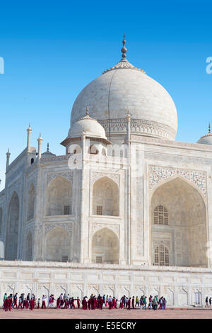 Das Taj Mahal, Agra, Uttar Pradesh, Indien, Asien Stockfoto