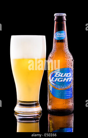 Flasche und Glas voll mit Bud Light Bier. Stockfoto