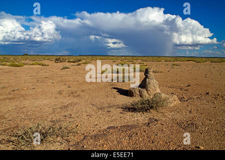 Nahenden Regen über Bladensburg Nationalpark Stockfoto