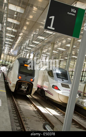 Zwei Züge warten auf ihre Abfahrtszeit in Cádiz Station. Stockfoto