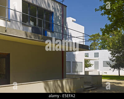 Masters-Häuser in Dessau-Roßlau, Deutschland Stockfoto