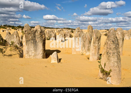 Blick auf die Pinnacles Desert in den Numbung National Park, Australien Stockfoto