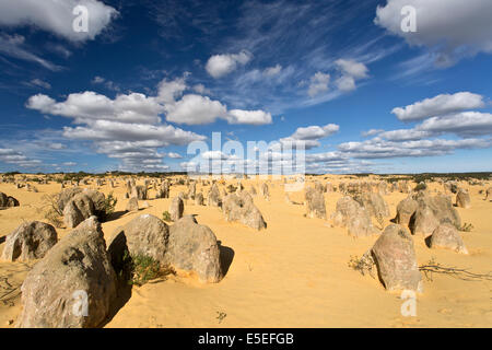 Blick auf die Pinnacles Desert in den Numbung National Park, Australien Stockfoto