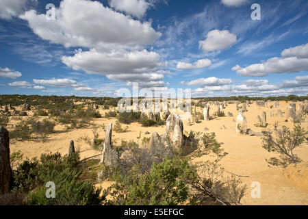 Blick auf die Pinnacles Desert in den Numbung National Park, Australien Stockfoto