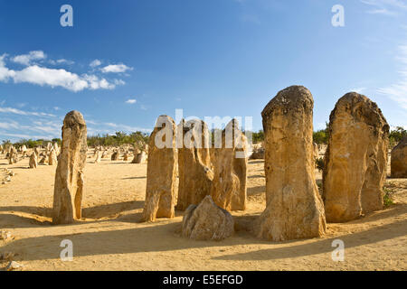 Blick auf die Pinnacles Desert in den Numbung National Park, Australien Stockfoto