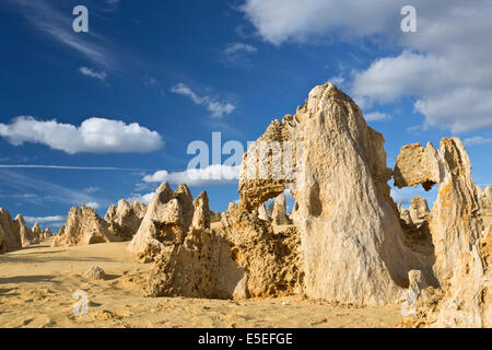 Blick auf die Pinnacles Desert in den Numbung National Park, Australien Stockfoto