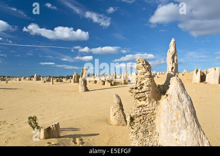 Blick auf die Pinnacles Desert in den Numbung National Park, Australien Stockfoto