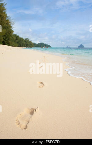 Fußabdrücke auf Koh Kradan Insel, Provinz Trang, Thailand aus dem Meer führt Stockfoto